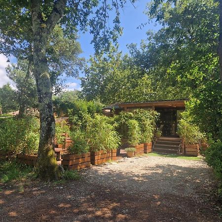 Chalet 2020 Camping 4 Etoiles Bassin D'Arcachon La Teste Eksteriør billede